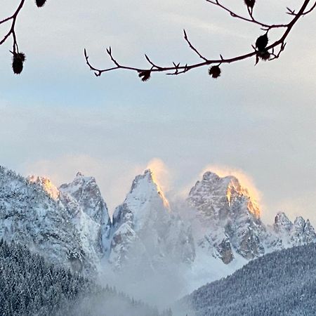 Bed and Breakfast Fra Rose E Mughi Domegge di Cadore Zewnętrze zdjęcie