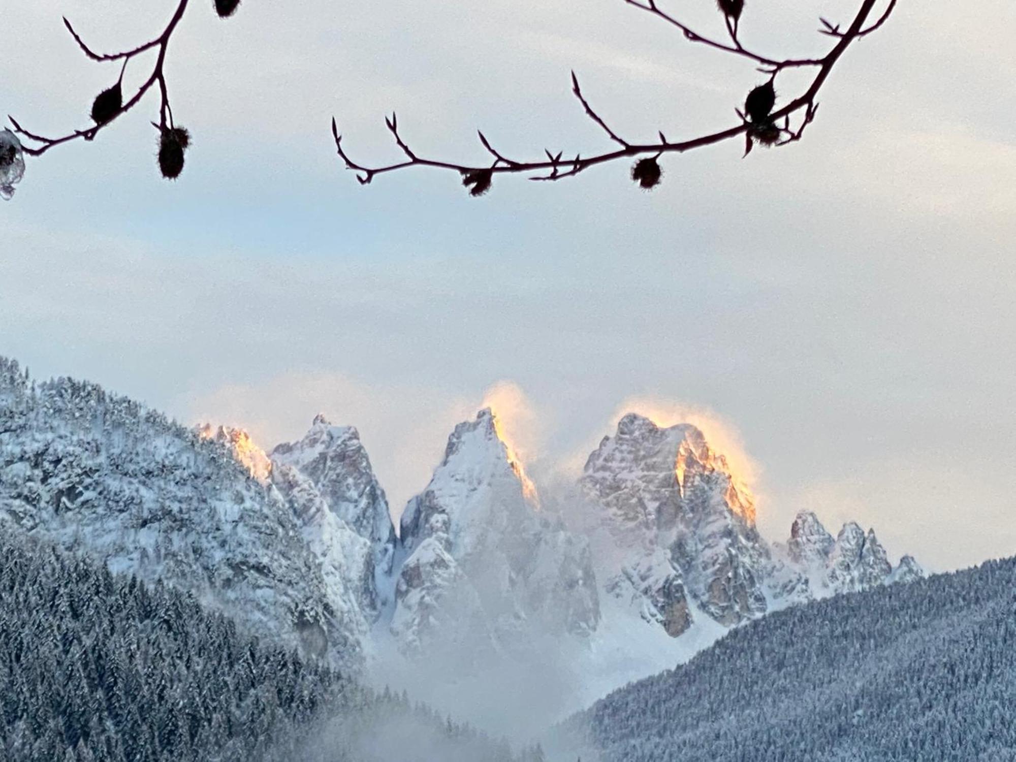 Bed and Breakfast Fra Rose E Mughi Domegge di Cadore Zewnętrze zdjęcie