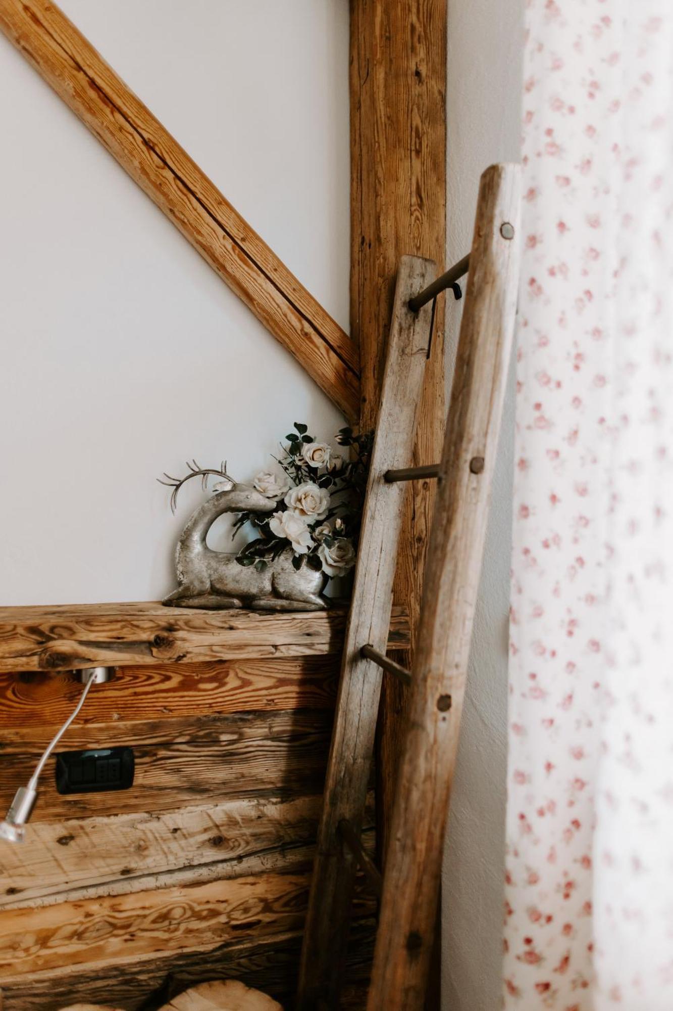 Bed and Breakfast Fra Rose E Mughi Domegge di Cadore Zewnętrze zdjęcie
