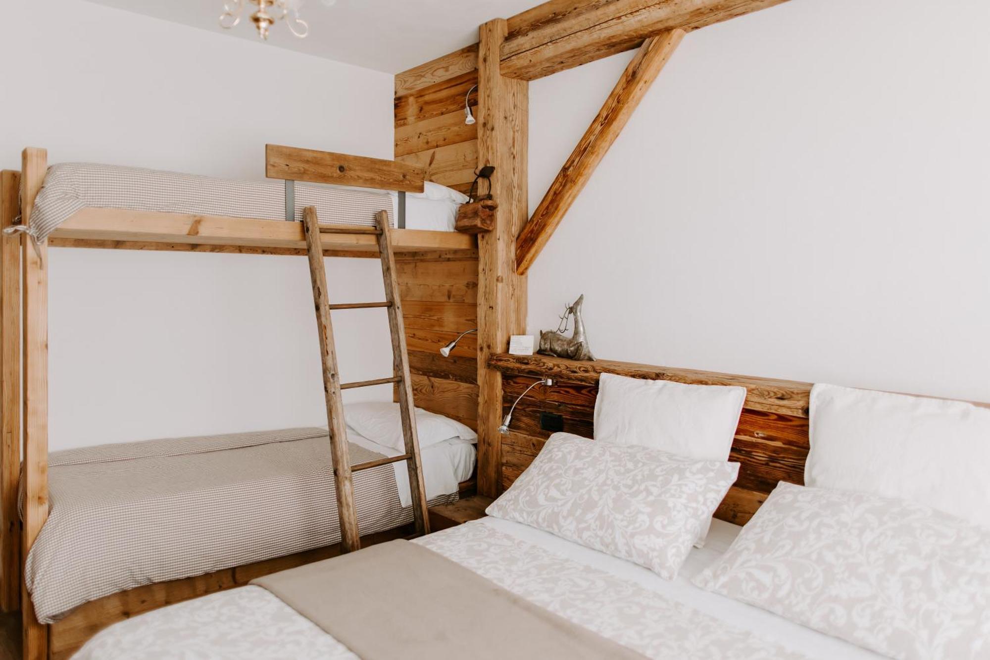Bed and Breakfast Fra Rose E Mughi Domegge di Cadore Zewnętrze zdjęcie